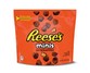 Hershey's Reese's Peanut Butter Cup Minis or Kit Kat Minis View 2
