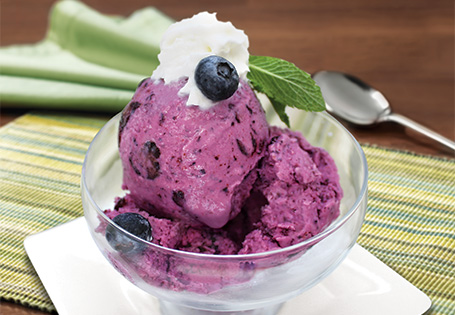 Frozen Greek Yogurt with Blueberries